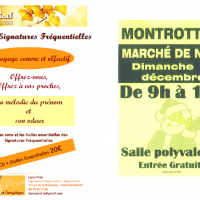 Affiche sf mn montrottier 2018