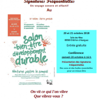 Affiche sf salon be2d 2018