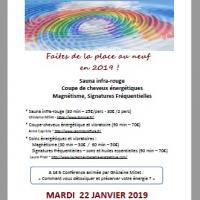 Journees detox et energie brindas janvier 2019 