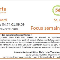 Pepite ve 21 07 17